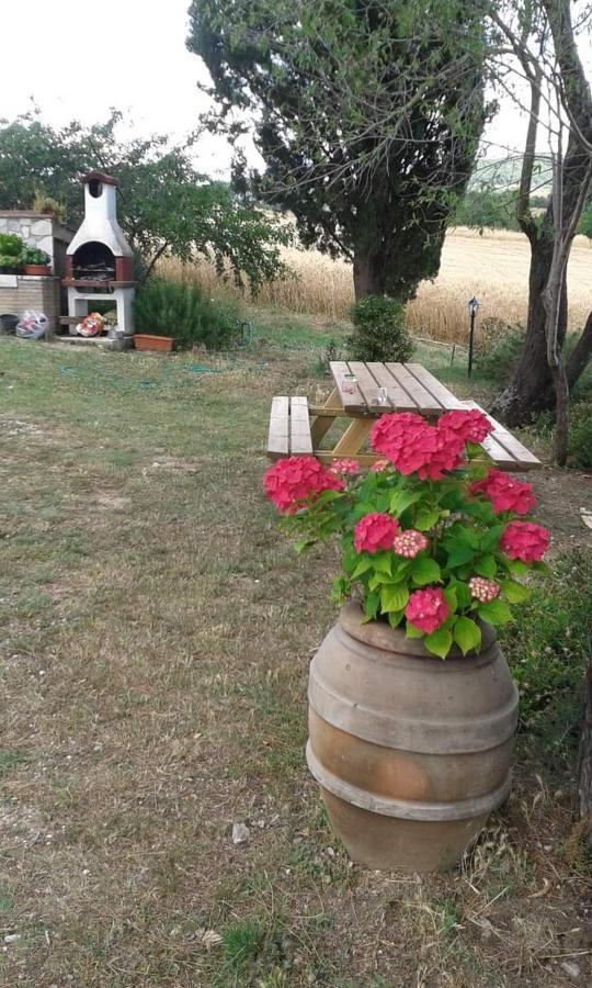 Apartamento Monolocale Stiacce Saturnia Exterior foto